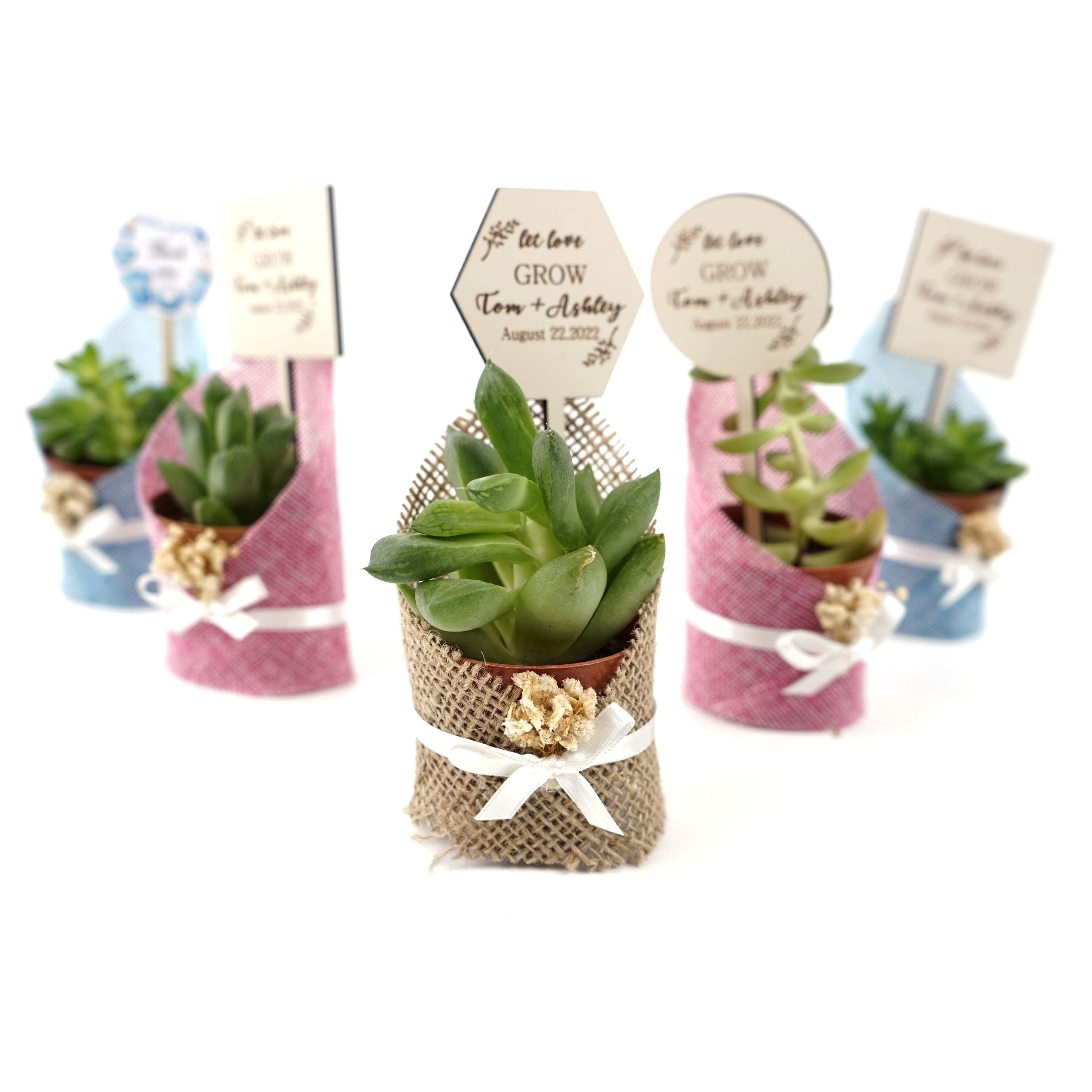 cadeau invité mariage, Succulentes en Toile de Jute avec Fleurs Séchées invité