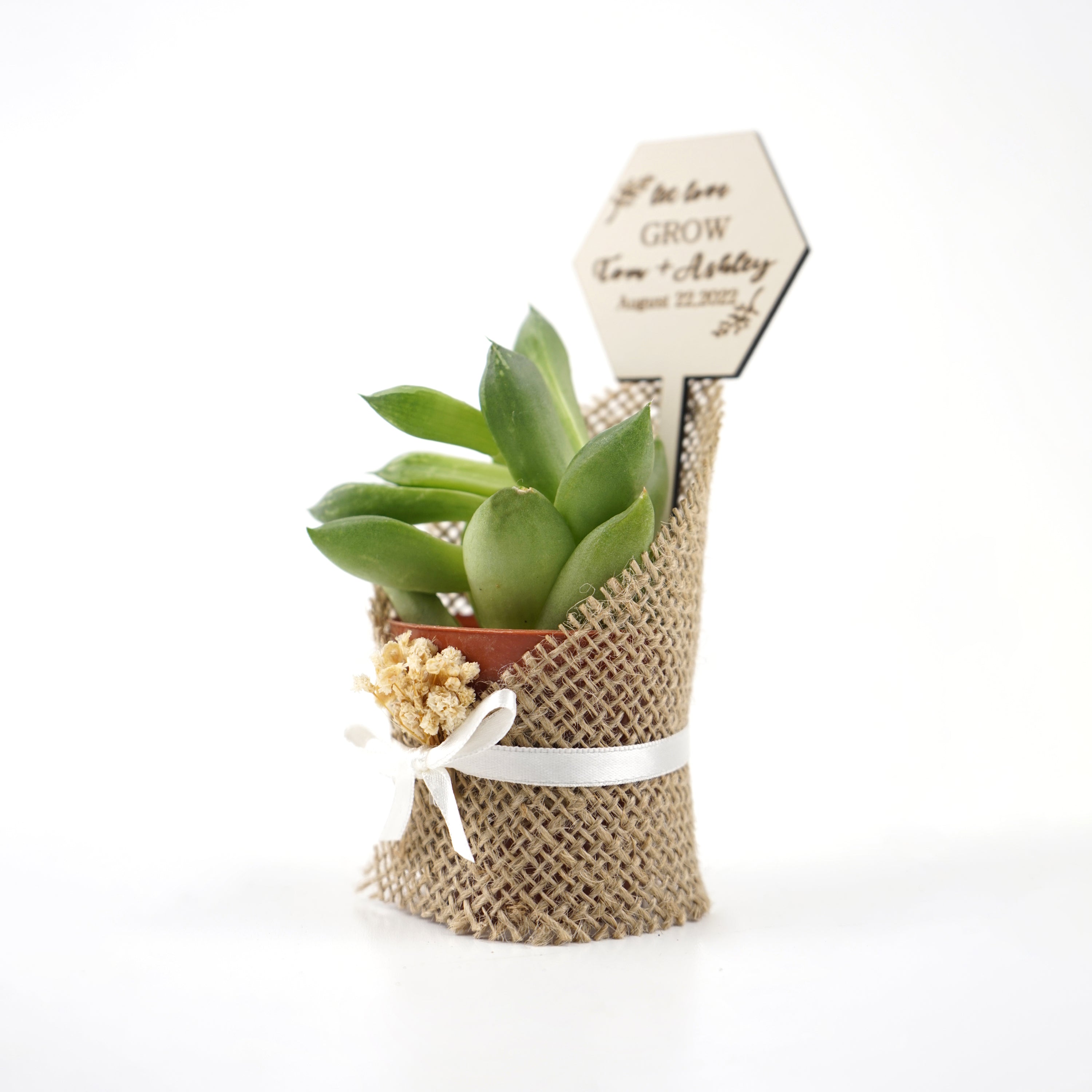 cadeau invité mariage, Succulentes en Toile de Jute avec Fleurs Séchées invité